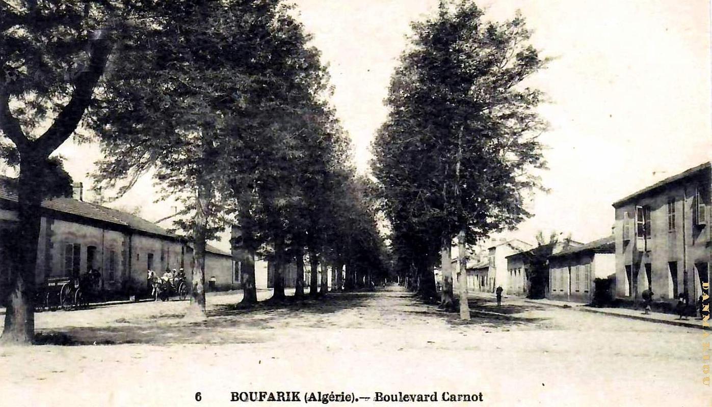 Boufarik - Boulevard Carnot.jpg